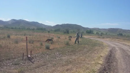 Cocuq Mərcanlı kəndində piyada və tank əleyhinə mina aşkarlanıb