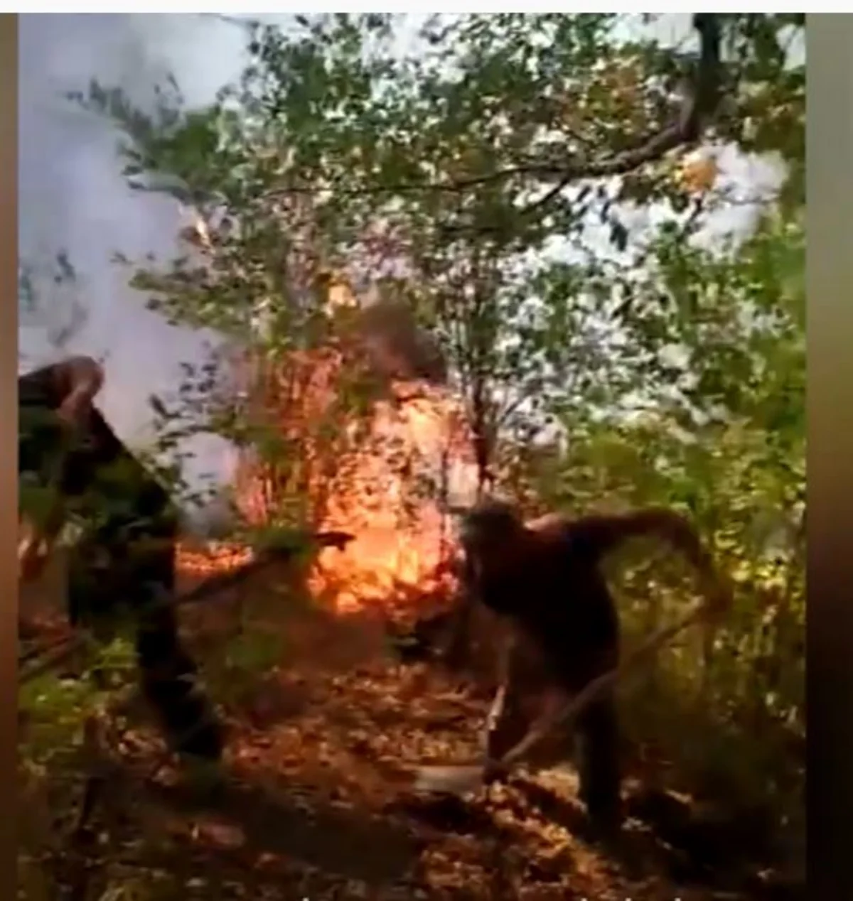 Astarada baş vermiş yanğın söndürülüb