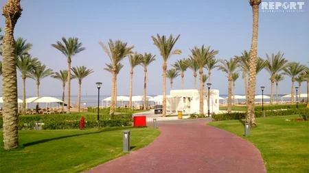 Qırmızı dəniz sahilindəki ecazkar və nadir gülləri ilə məşhur şəhərdən - REPORTAJ