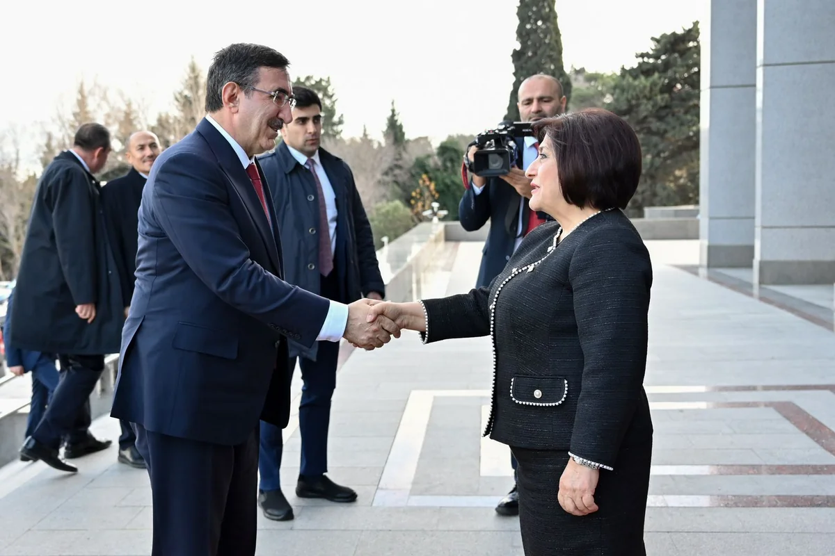 Milli Məclisin sədri Türkiyənin vitse-prezidenti ilə görüşüb - YENİLƏNİB