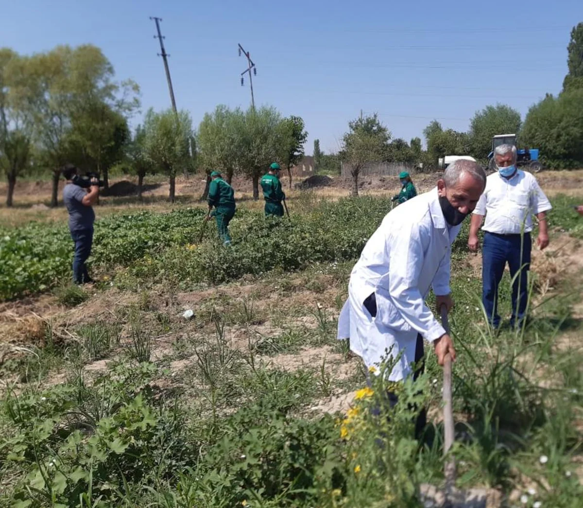 AQTA əməkdaşları əkin sahələrində müşahidələr aparıblar