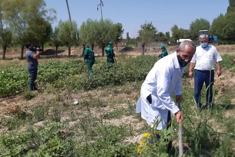 AQTA əməkdaşları əkin sahələrində müşahidələr aparıblar