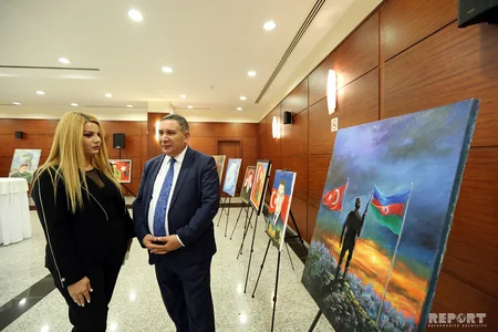 Səfir: 2018-ci il Azərbaycan-Türkiyə münasibətləri baxımından çox vacib il olub