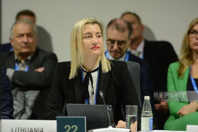 Lithuanian official: ‘We must strive for digital transformation to reduce carbon emissions’