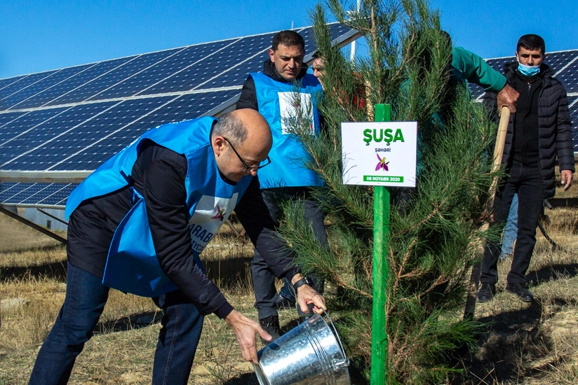Azerbaijani Energy Ministry holds tree planting campaign on occasion of Victory Day
