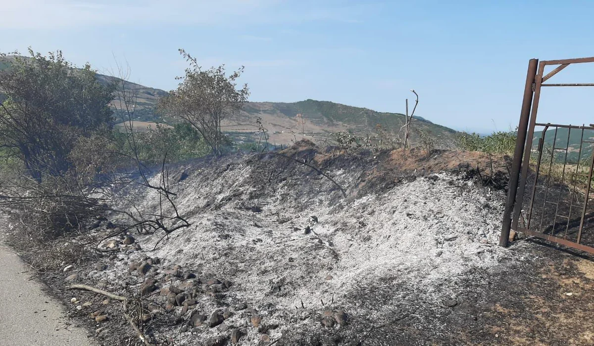 Qubada elektrik dirəyi aşıb, fındıq bağı yanıb