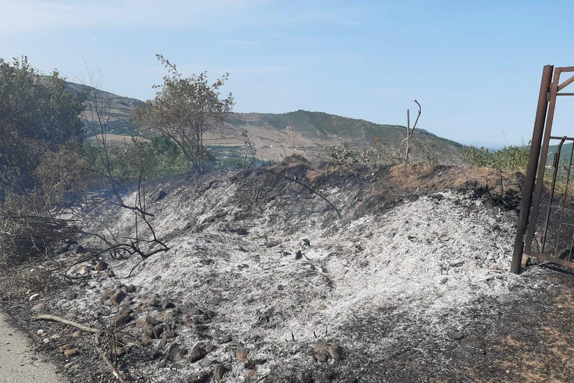 Qubada elektrik dirəyi aşıb, fındıq bağı yanıb