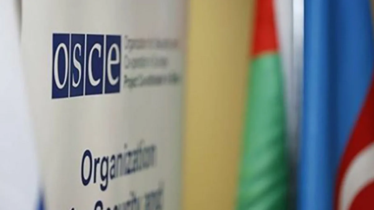 MP: Foreign Ministry should apply to Minsk Group to abolish institution of co-chairs