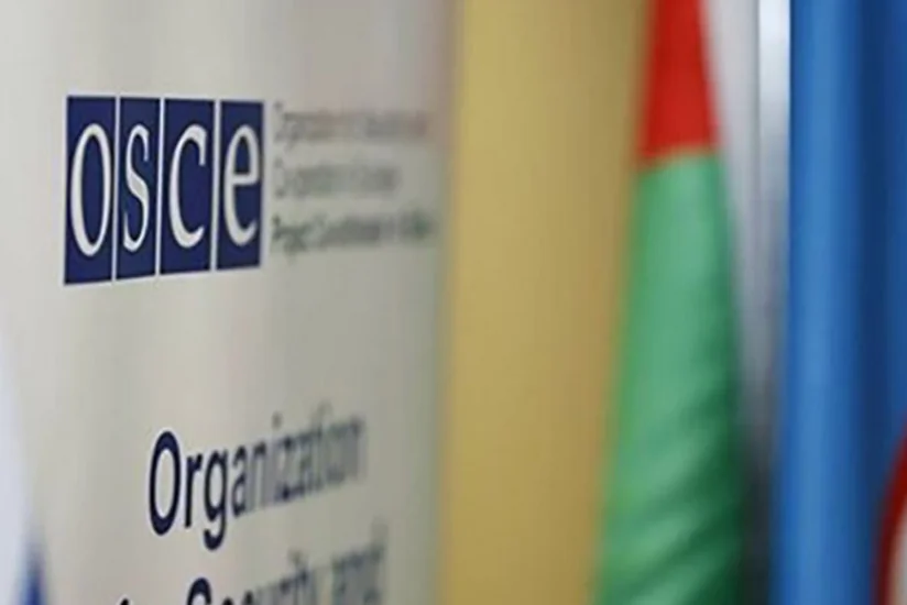 MP: Foreign Ministry should apply to Minsk Group to abolish institution of co-chairs