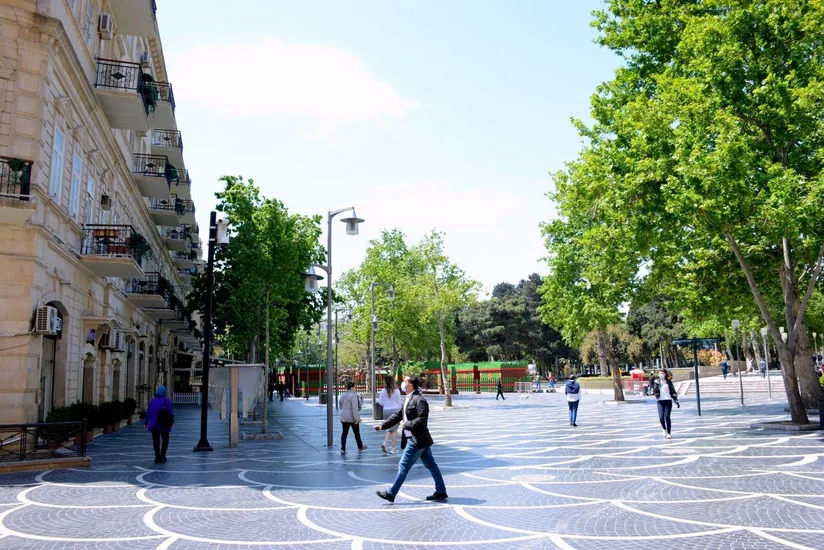 Показатели заражения COVID-19 по районам Баку