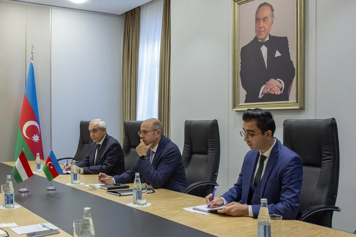 Parviz Shahbazov: Electricity produced from offshore wind energy will be exported to Europe