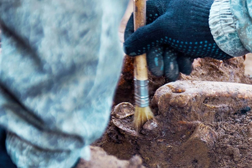 Human remains found on board British aircraft shot down during WW2