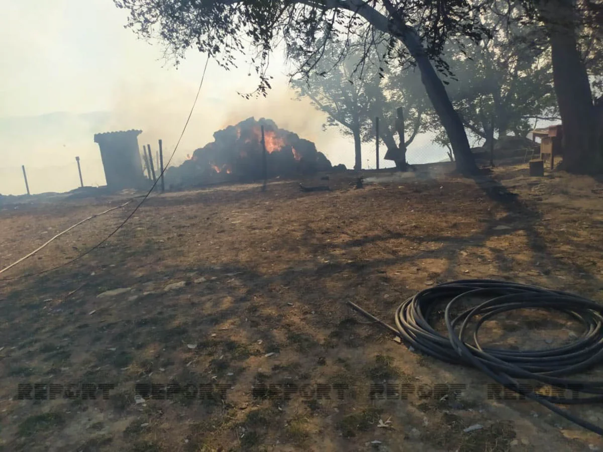 Şabranda meşə yanğını evə keçib, 3 ev yanır