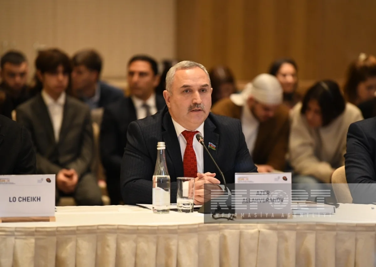 Global effort needed to combat colonialism, Azerbaijani MP says