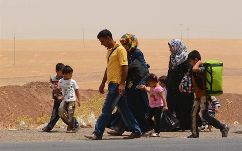 Dünyada məcburi köçkünlərin sayı rekord həddə çatıb