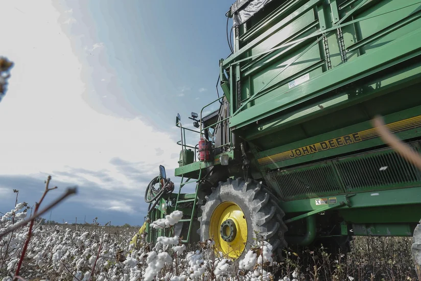 В Агджабединском районе собрано более 16 тыс. тонн хлопка