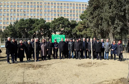 В НАНА заложен парк редких деревьев