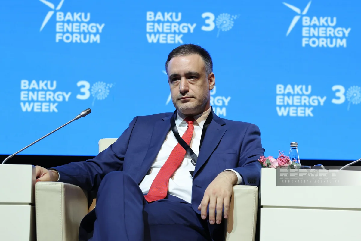 Gürcü nazir müavini: “Azərbaycan enerji sahəsində etibarlı tərəfdaşdır”