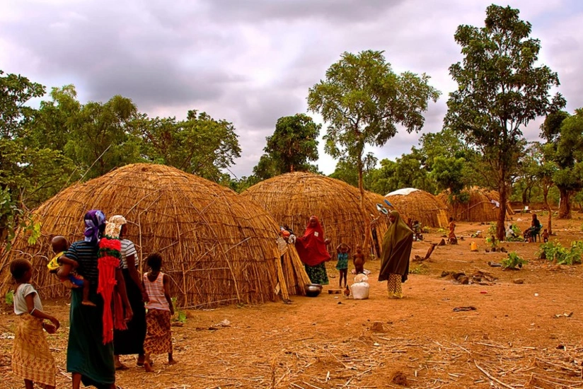 Лихорадка Ласса унесла жизни 32 жителей Нигерии