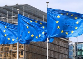 EU to step up foreign subsidy probes, antitrust chief says