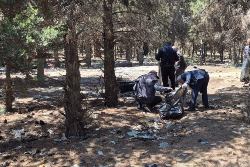 Abşeronda 64 ağacın məhv edildiyi yaşıllıq sahəsi bərpa olunub