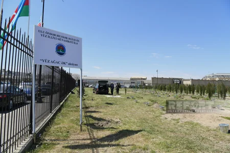 Qərbi Azərbaycan İcması Heydər Əliyevin 100 illiyi ilə əlaqədar ağacəkmə kampaniyası keçirib