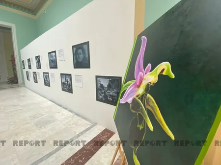 Fighters who died in World War II commemorated in Azerbaijan's VDNkh pavillion