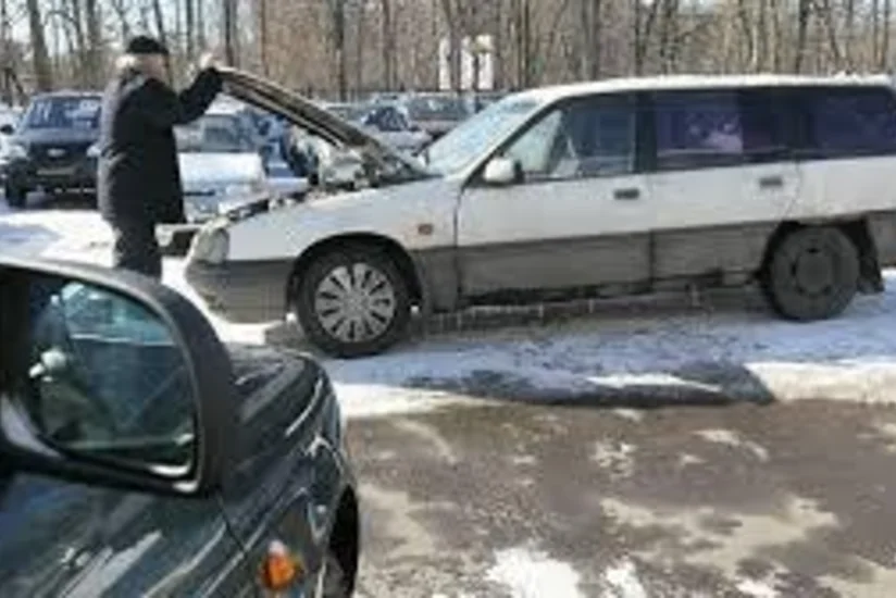Европейские бизнесмены поддержали повышение налога на старые авто