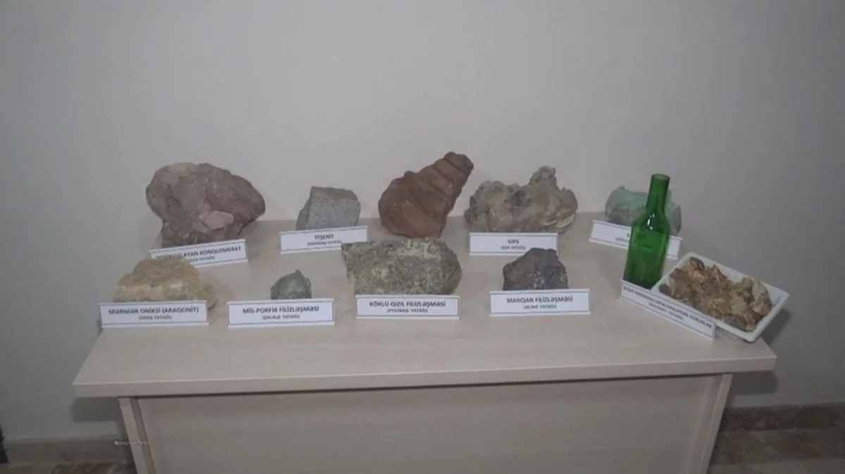 Babək rayonunda mis və molibden yataqları aşkarlanıb