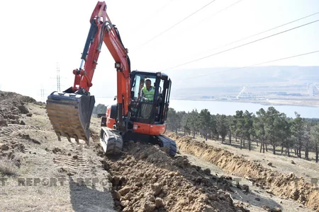 Mürəkkəb relyefli, sərt yamaclı ərazilərdə ağac əkininə başlanılıb