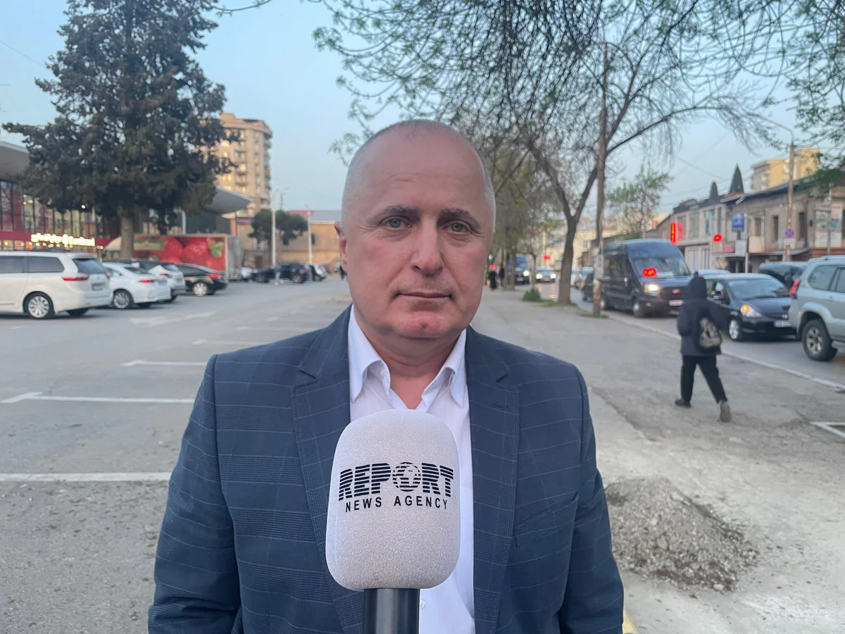 Gürcü ekspert: Qeyri-hökumət təşkilatları şəffaflıq nümunəsi olmalıdır