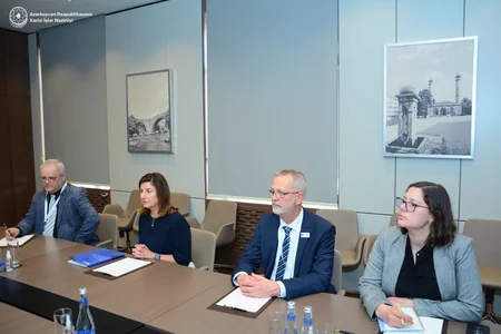 Глава МИД Азербайджана обсудил с гендиректором ICMP поиск пропавших без вести