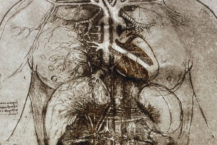 Scientists uncover Leonardo da Vinci’s 500-year-old human heart mystery