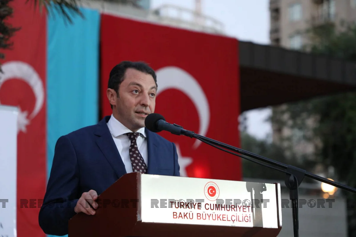 Elnur Mammadov: Turkiye's efforts in establishing international justice are priceless