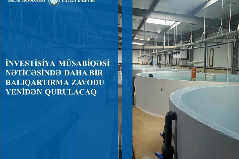 PAŞA Holdinqin şirkəti Qəbələ Qızıl Balıqartırma Zavodu özəlləşdirib