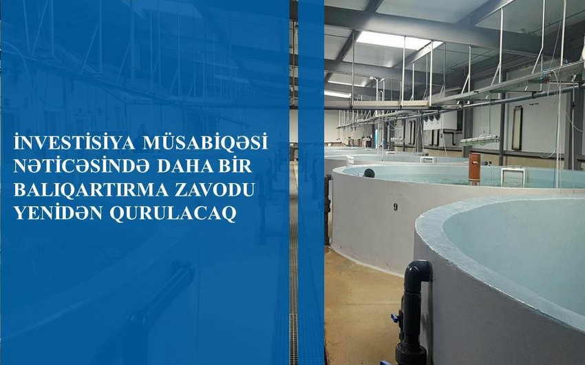 PAŞA Holdinqin şirkəti Qəbələ Qızıl Balıqartırma Zavodu özəlləşdirib