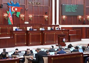 Решения, принимаемые частным исполнителем, приравниваются к решениям госисполнителя