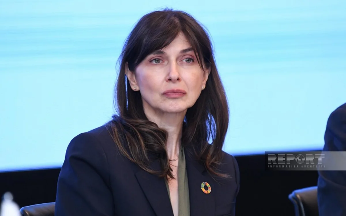 Vladanka Andreeva: Joint declaration - historic milestone in normalizing Azerbaijan-Armenia relations