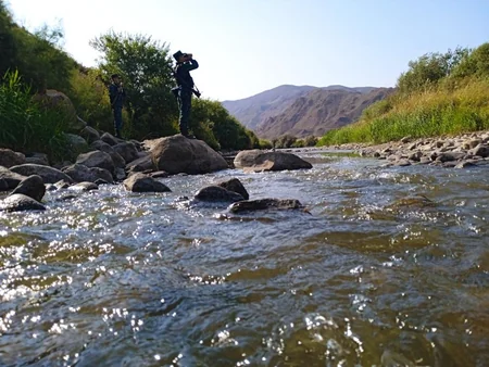 Ötən ay dövlət sərhədini pozan 52 nəfər saxlanılıb