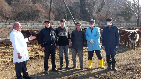 Qaxda heyvanlar arasında profilaktik tədbirlər aparılır
