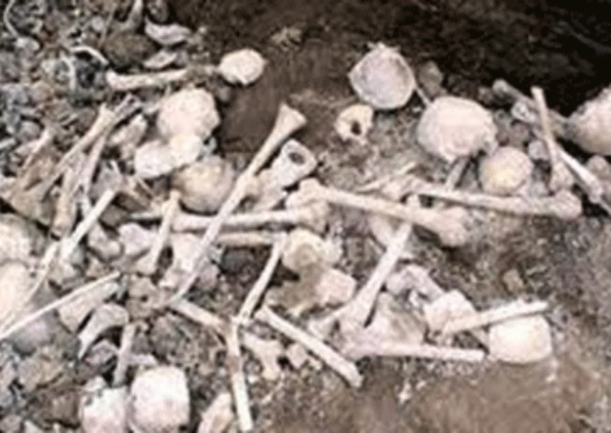 Meksikada gizli şəkildə basdırılmış 56 insanın qalıqları aşkarlanıb