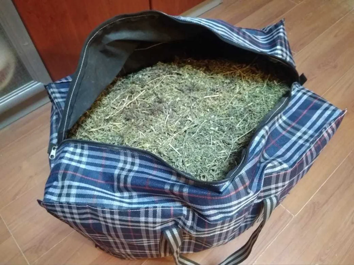 Gəncə sakinindən 10 kiloqramdan çox narkotik vasitə götürülüb - FOTO