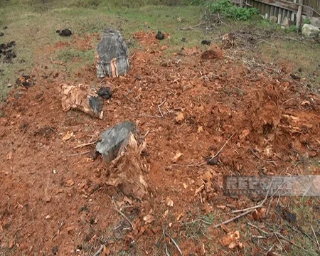 Ağdaşın Qaradeyin kəndinin yanacaq problemi: qaz yoxdur, odun tapmaq asan deyil