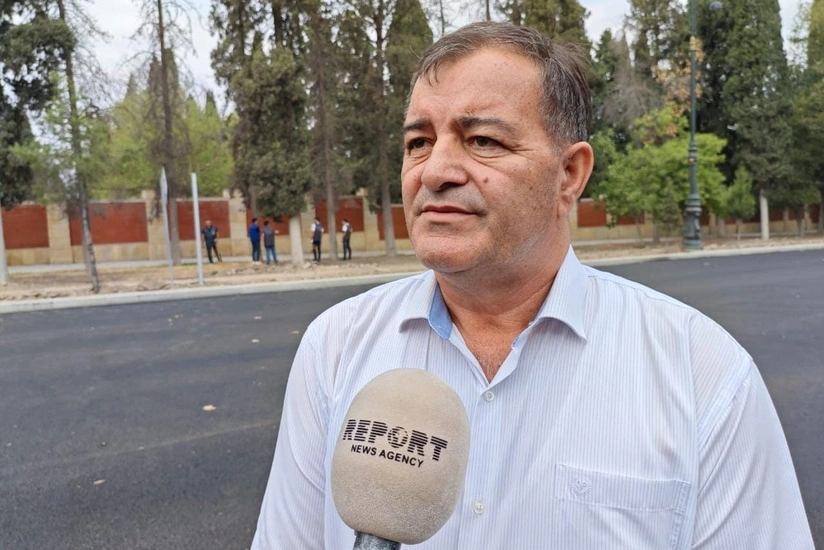 Gəncədə ağacların qurumasının səbəbləri açıqlanıb