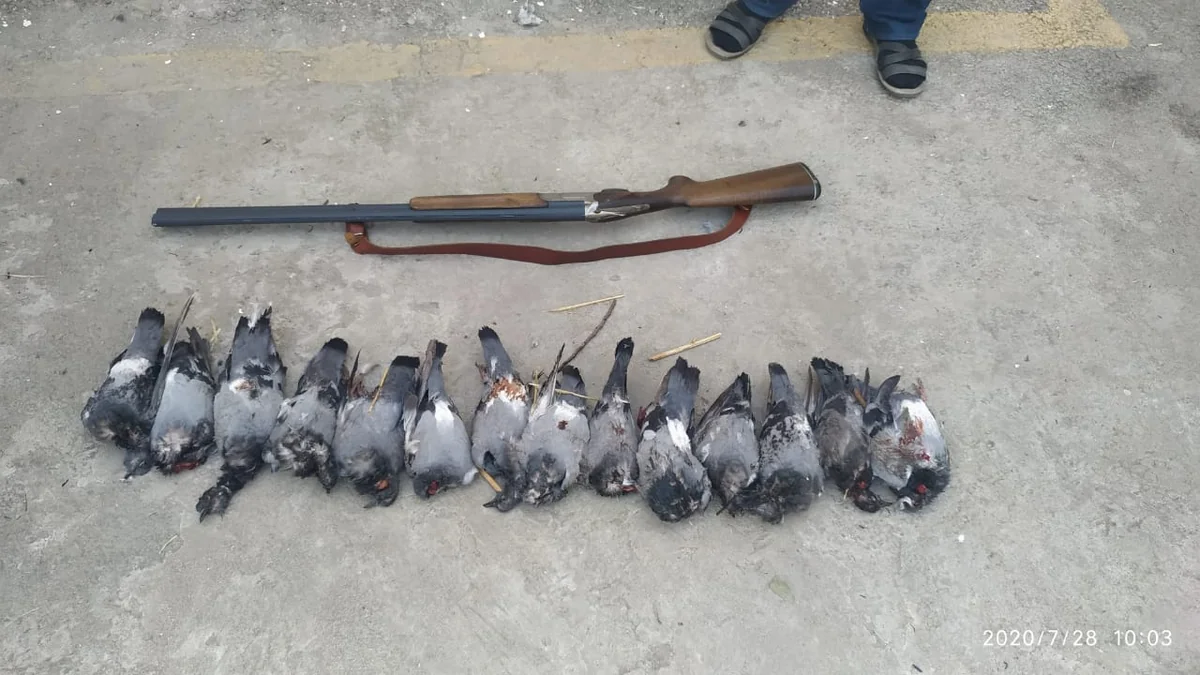Cəlilabad sakini karantini pozaraq qanunsuz ov etdiyinə görə saxlanıldı
