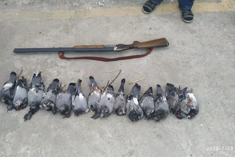 Cəlilabad sakini karantini pozaraq qanunsuz ov etdiyinə görə saxlanıldı