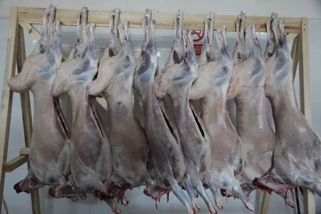 Qurbanlıq qoyunların onlayn satışına maraq böyükdür