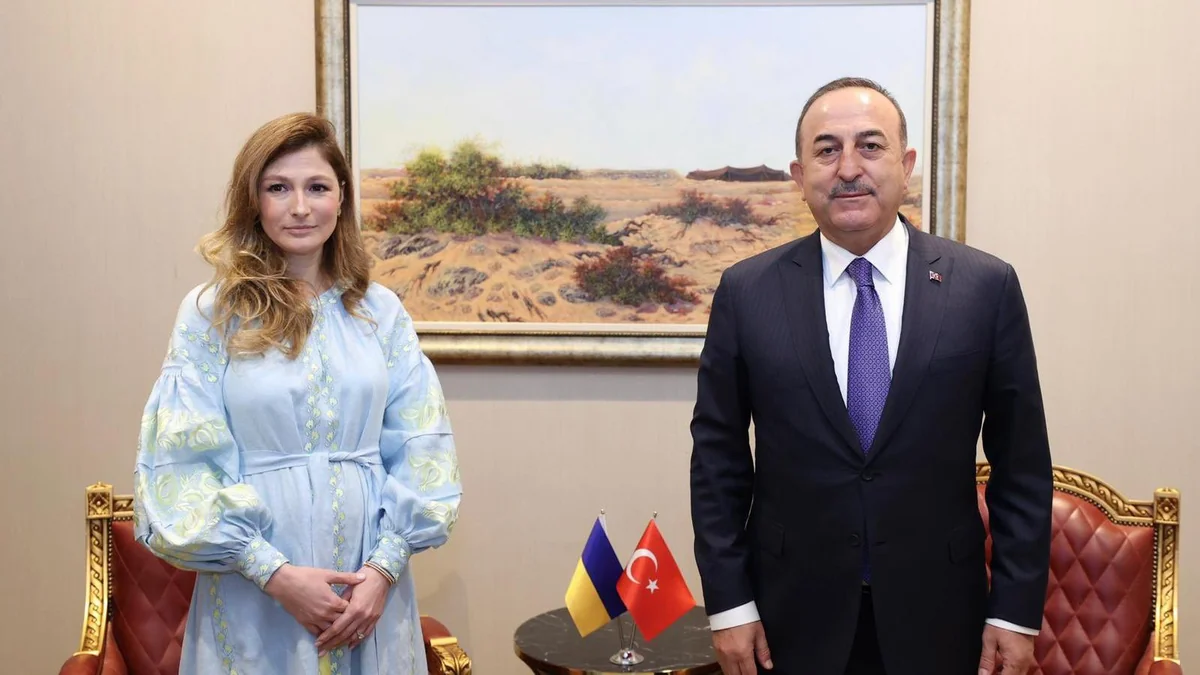 Dohada Əminə Cabbarla Çavuşoğlu arasında görüş keçirilib