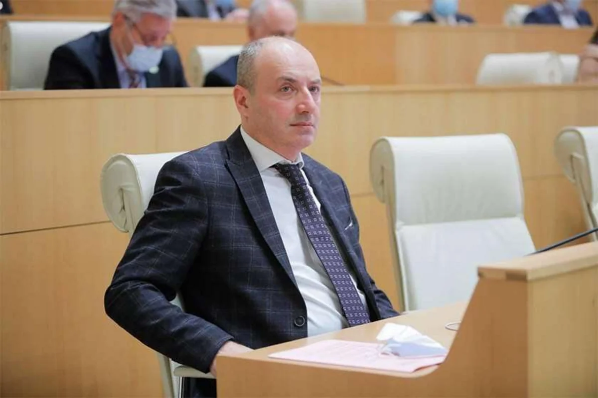 Gürcüstanın hakim partiyasından daha bir deputat istefa verib
