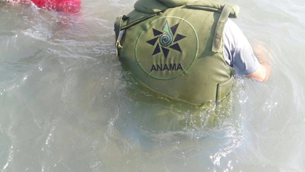 Xızıda 83 ədəd partlamamış hərbi sursat aşkar edilib